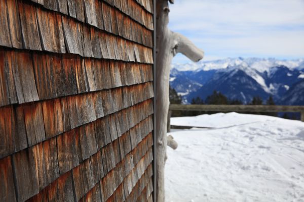 Cost of Cedar Siding Repair in Madison