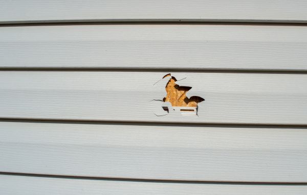 Cost of Siding Hole Patching in Madison