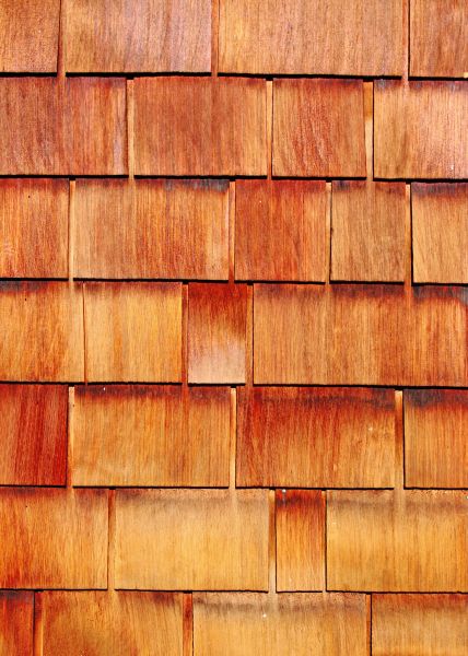 Cost of Wood Siding Replacement in Madison